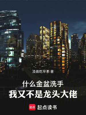 什么金盆洗手，我又不是龍頭大佬