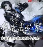 網游之我是武學家