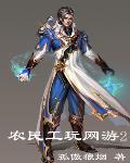 農(nóng)民工玩網(wǎng)游2