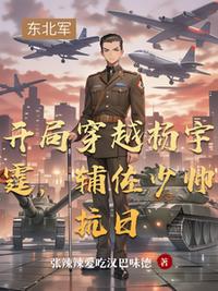 開局穿越楊宇霆，輔佐少帥抗日