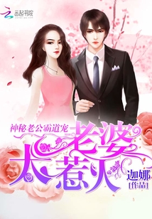 神秘老公霸道寵：老婆，太惹火