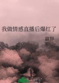 我做情感直播后爆紅了