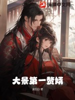 大景第一贅婿