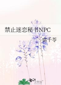 禁止迷戀秘書NPC