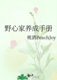 野心家養(yǎng)成手冊