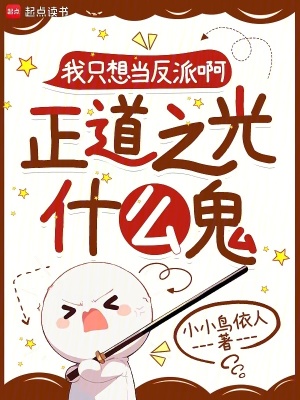 我只想當(dāng)反派啊，正道之光什么鬼