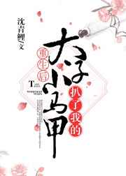 重生后太子扒了我的小馬甲