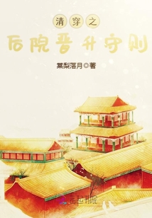 清穿之后院晉升守則