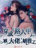 穿成路人甲后被大佬嬌養了
