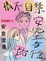 情不自禁：安先生與路千金
