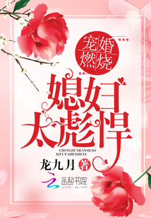 寵婚燃燒：媳婦太彪悍