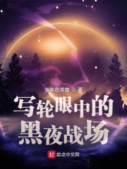 寫輪眼中的黑夜戰場