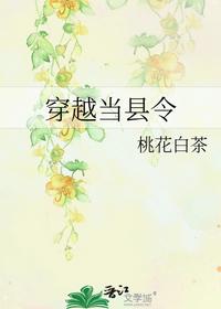 穿越當(dāng)縣令