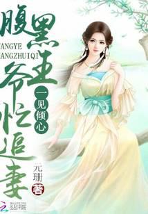 一見傾心：腹黑王爺忙追妻