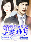 閃婚后愛之嬌妻難為