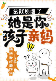 總裁別虐了，她是你孩子親媽
