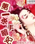 第一殺手暗妃