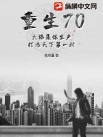 重生70：大搞集體生產(chǎn)，打造天下第一村