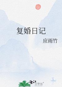 復(fù)婚日記
