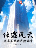 仕途風云：從基層開始問鼎巔峰