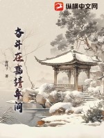 奮斗在嘉靖年間