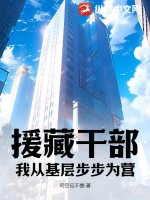 援藏干部：我從基層步步為營