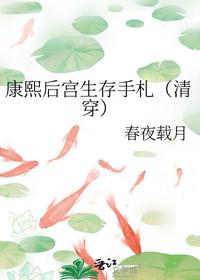 康熙后宮生存手札（清穿）