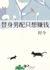 替身男配只想賺錢