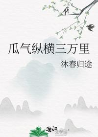 瓜氣縱橫三萬里