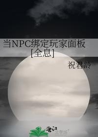 當NPC綁定玩家面板[全息]