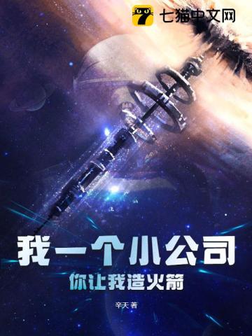 我一個小公司，你讓我造火箭？