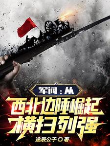 軍閥：從西北邊陲崛起，橫掃列強(qiáng)