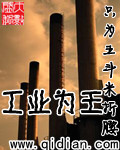 工業(yè)為王