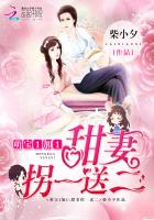 萌寶1加1：甜妻拐一送二