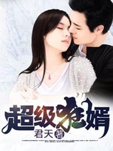 超級(jí)狂婿