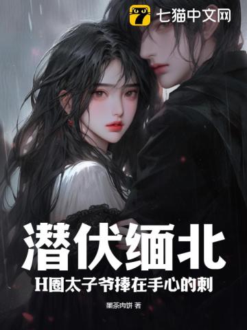 潛伏緬北：H圈太子爺捧在手心的刺