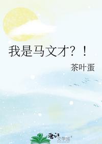 我是馬文才？！