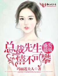 盛愛暖暖，總裁先生情不可攀