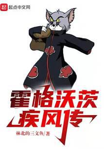 霍格沃茨疾風(fēng)傳