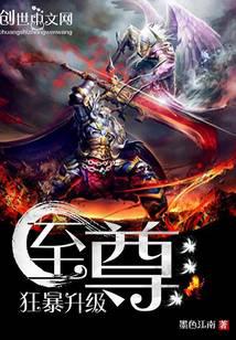 至尊狂暴升級