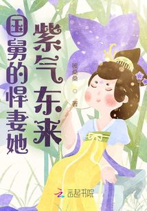 國舅的悍妻她紫氣東來
