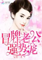 冒牌老公，強勢寵！