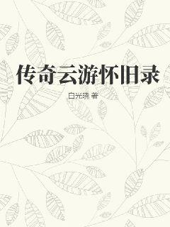 傳奇云游懷舊錄