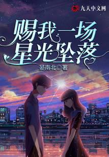賜我一場星光墜落