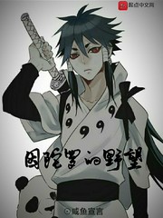 忍界：因陀羅的野望