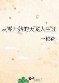 從零開始的天龍人生涯