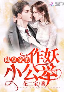 陸總家的作妖小公舉