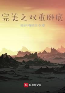 完美之雙重臥底