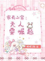 家有二寶：夫人要崛起