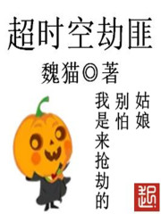 超時(shí)空劫匪